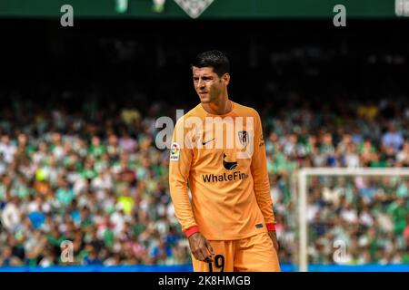 SIVIGLIA, SPAGNA - 23 OTTOBRE: Alvaro Morata di Atletico de Madrid guarda avanti durante la partita tra Real Betis Balompie e Atletico de Madrid CF di la Liga Santander il 27 agosto 2022 a Mestalla a Valencia, Spagna. (Foto di Samuel Carreño/PxImages) Foto Stock