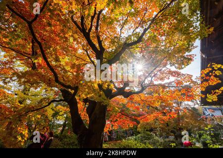 Vista superba, colori autunnali al Tempio Jojakko-ji, Giappone, in autunno intorno a novembre Foto Stock