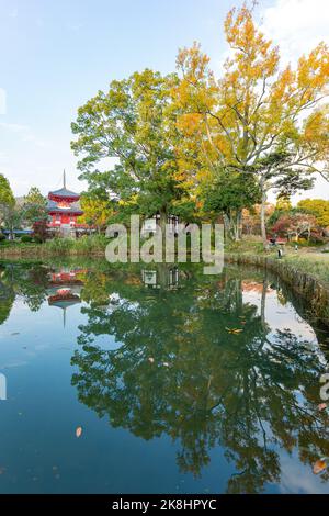 Vista soleggiata del colore autunnale e della Torre Shingyo-Hoto di Osawa Pond a Kyoto Foto Stock