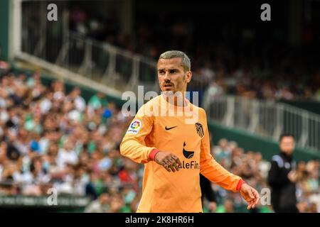 23 ottobre 2022: SIVIGLIA, SPAGNA - 23 OTTOBRE: Antoine Griezmann di Atletico de Madrid guarda durante la partita tra Real Betis Balompie e Atletico de Madrid CF di la Liga Santander il 27 agosto 2022 a Mestalla a Valencia, Spagna. (Credit Image: © Samuel CarreÃ±o/PX Imagens via ZUMA Press Wire) Foto Stock