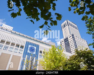 Stazione Di Sapporo, Prefettura Di Hokkaido, Giappone Foto Stock