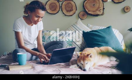 Felice giovane donna freelancer sta lavorando con il laptop digitando testo seduto a letto a casa con carino cane pedigree sdraiato vicino a lei. Lavoro in linea distante e concetto della gente. Foto Stock