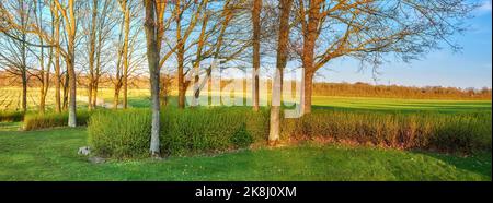 Campi verdi e cieli blu. Campi verdi e cielo blu in primavera e inizio estate. Foto Stock