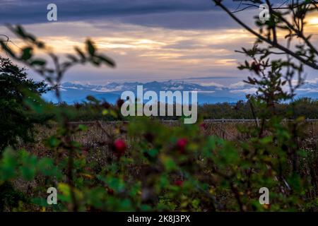 Ebey's Trail, Admiralty Inlet Preserve, Whidbey Island, Washington, Stati Uniti, Olympic Peninsula in lontananza Foto Stock