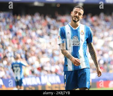 Sabadell, Barcellona, Spagna. 23rd Ott 2022. Barcellona Spagna 23.10.2022 Joselu Sanmartin (Espanyol Barcellona) gesti durante la Liga Santander tra Espanyol e Elche CF allo stadio RCDE il 23 ottobre 2022 a Barcellona. (Credit Image: © Xavi Urgeles/ZUMA Press Wire) Foto Stock