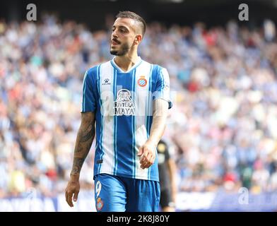 Sabadell, Barcellona, Spagna. 23rd Ott 2022. Barcellona Spagna 23.10.2022 Joselu Sanmartin (Espanyol Barcellona) gesti durante la Liga Santander tra Espanyol e Elche CF allo stadio RCDE il 23 ottobre 2022 a Barcellona. (Credit Image: © Xavi Urgeles/ZUMA Press Wire) Foto Stock