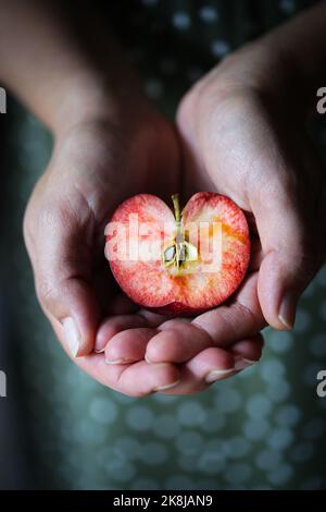 Mela italiana var. Abbondanza, frutto che matura nella prima settimana di ottobre Foto Stock