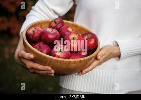 Primo piano delle mani della donna che tiene la ciotola di legno con le mele rosse Foto Stock