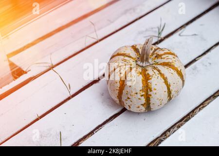 Zucca fresca su sfondo di legno nel giardino autunnale Foto Stock