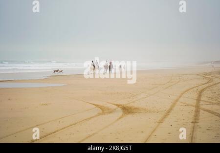 Un gruppo di cavalieri sulla spiaggia vicino a Tarifa, durante il tramonto, Zahara de los Atunes, Costa de la Luz, Andalusia, Spagna. Foto Stock