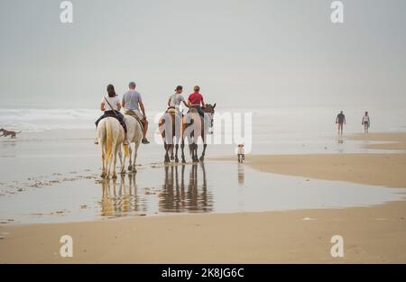 Un gruppo di cavalieri sulla spiaggia vicino a Tarifa, durante il tramonto, Zahara de los Atunes, Costa de la Luz, Andalusia, Spagna. Foto Stock