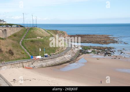 Passerella lungo la costa Northumbrian a Tynemouth, Tyne and Wear, Northumberland Foto Stock