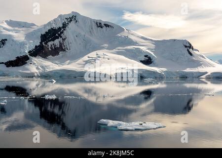 picco rojas sull'isola lemaire e ancora acque del porto paradiso (baia). penisola antartica. antartide Foto Stock