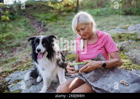 Donna anziana che si rompe durante la camminata del suo cane nella foresta. Foto Stock