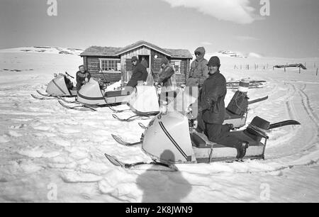 Femunden 19660528. I Sami nella zona di Femund sono inseguiti dalla zona di pascolo. I campioni di renne ritengono che non appartengano alla società, ma a una minoranza discriminata che è sempre in declino. Il Ministero dell'Agricoltura ha inviato una lettera in cui si afferma che il Ministero ha deciso che il pascolo delle renne deve avvenire tra novembre e aprile e che i Sami devono vedere e trovare un altro pascolo estivo. La motoslitta ha snellito i pastori. Il costo è di circa 8000 kr. Foto: Sverre Børretzen corrente / NTB Foto Stock