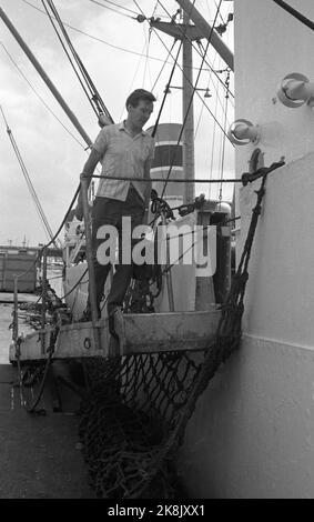 Sydney 19700418 Heilnorsk in Australia la Chiesa dei marinai norvegesi a Sydney è un punto d'incontro principalmente per i marittimi norvegesi che navigano tra porti stranieri. Il marinaio Willie Garvi salendo sulla passerella fino alla nave norvegese M/S Sligdre. Foto: Sverre A. Børretzen / corrente / NTB Foto Stock