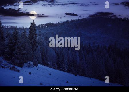 neve coperta di glade in foresta di conifere al tramonto. splendido scenario naturale in piena luna di luce. paesaggio di montagna in inverno Foto Stock