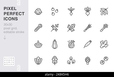 Set di icone della linea di verdure. Kale, spinaci, zucca, pomodoro ciliegia, cavolfiore, barbabietola, disegno vettoriale minimo daikon. Semplice simbolo di contorno per Illustrazione Vettoriale