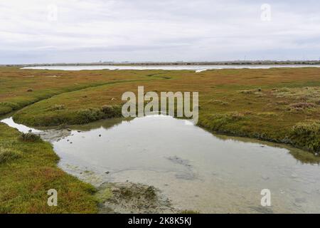 Parco naturale della baia di Cádiz (Parque Natural Bahía de Cádiz) con saline e sentieri, Cadice, Andalusia, Spagna. Foto Stock