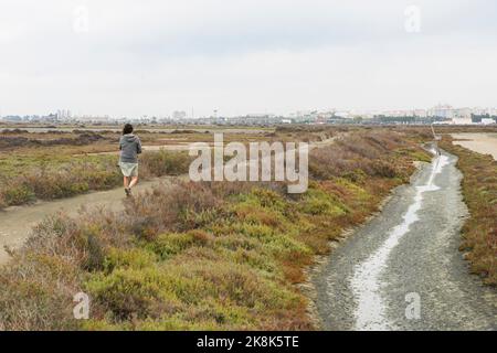 Parco naturale della baia di Cádiz (Parque Natural Bahía de Cádiz) con saline e sentieri, Cadice, Andalusia, Spagna. Foto Stock