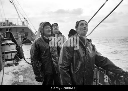 19690322. "L'anno più nero dell'aringa". Il risultato della pesca invernale delle aringhe di quest'anno è il peggiore che abbiamo avuto in questo secolo. Ma non è solo la base naturale, l'aringa, che ha fallito. Lo sviluppo della flotta di aringhe è avvenuto senza obiettivi e senza gestione. Se questo sviluppo continua, un certo numero di queste barche entreranno sotto il martello dell'asta in breve tempo. Il pattino da pesca 'Jøkul' con dodici uomini si trova sul mare a nord di Kristiansund in attesa della grande aringa. Foto: Sverre A. Børretzen / NTB Foto Stock