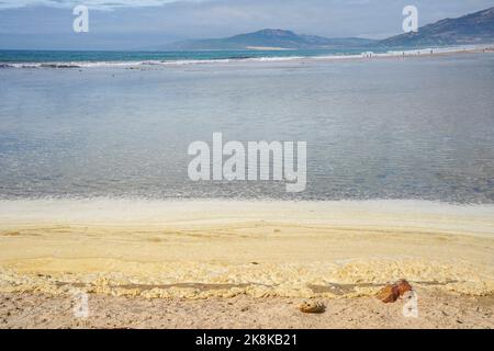Schiuma marina lavata o soffiata su una spiaggia a causa di fuoriuscite di petrolio, inquinamento a Tarifa Beach, Andalusia, Spagna. Foto Stock