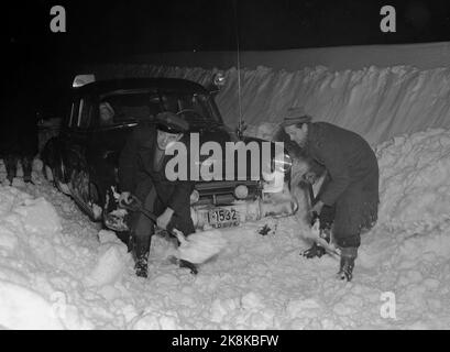 Nelaug stazione 19510207: Forte nevicata sulla parte meridionale del paese ha creato caos nel traffico ferroviario. In totale, cinque treni sono rimasti bloccati nelle masse di neve alle stazioni di Helldalsmo e Nelaug, e i passeggeri hanno dovuto trascorrere la notte in treni ghiacciati. Alla fine, i taxi sono stati richiesti per evacuare i passeggeri, ma anche questi hanno avuto grandi difficoltà nella neve. Qui, un taxi deve essere sciolto da un fiocco di neve. Foto: NTB / NTB Foto Stock