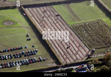 Vista aerea di Dunham Pumpkins, una zona di zucca, vicino ad Altrincham, Cheshire, Regno Unito Foto Stock