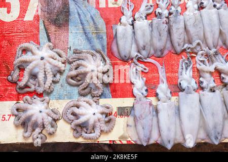 Calamari e polpi freschi in un mercato alimentare a Zanzibar, Tanzania, Africa Foto Stock