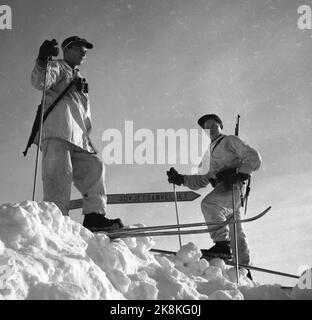 Confine Jakobselv Pasqua 1949 niente di nuovo dal confine a nord Una striscia di 160 chilometri di neve vergine dallo sbocco del confine Jakobselv a Borderfoss a Pasvikdalen, diventa l'unico confine comune tra i paesi del Patto Atlantico e l'Unione Sovietica quando la Norvegia aderisce al Patto A. La corrente passò lungo il confine e parlò con le persone che vi abitavano. Qui un paio di simpatiche guardie di frontiera norvegesi pattugliano al confine. Segnali con l'Unione Sovietica. Foto; Sverre A. Børretzen / corrente / NTB Foto Stock