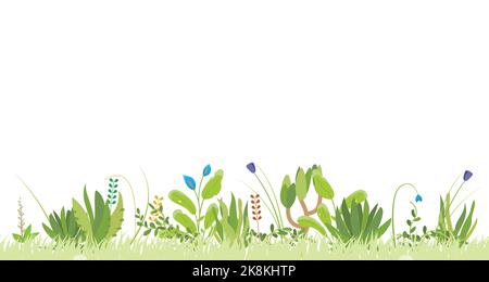 Campo fiore sfondo senza giunture Illustrazione Vettoriale