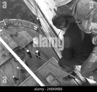 195207. Nave-scuola di Bergen «Statsraad Lehmkuhl» le 1700 tonnellate di navi a vela navigano in mare attraverso l'Atlantico contro New York con 180 primi ragazzi di viaggio a bordo. La nave a vela è stata isolata dal Byfjord di Bergen dal 1948. E' la prima volta che una nave scolastica norvegese si imbarca a lunga velocità con solo i ragazzi della prima volta. Vertigini, una nave a vela deve sbarazzarsi di esso prima di sì. Questo è il modo in cui il pneumatico rimane da uno degli alberi, ma è ancora lontano alla cima crudo. Foto di magazzino: Sverre A. Børretzen / corrente / NTB Foto Stock