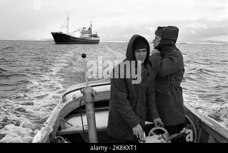 19690322. "L'anno più nero dell'aringa". Il risultato della pesca invernale delle aringhe di quest'anno è il peggiore che abbiamo avuto in questo secolo. Ma non è solo la base naturale, l'aringa, che ha fallito. Lo sviluppo della flotta di aringhe è avvenuto senza obiettivi e senza gestione. Se questo sviluppo continua, un certo numero di queste barche entreranno sotto il martello dell'asta in breve tempo. Il pattino da pesca 'Jøkul' con dodici uomini si trova sul mare a nord di Kristiansund in attesa della grande aringa. Foto: Sverre A. Børretzen / NTB Foto Stock