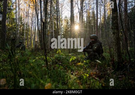 Ämari, Estonia. 24 ottobre 2022, Estonia, Ämari: Un soldato della Bundeswehr si accola in una zona boscosa durante un esercizio presso la base aerea di Ämari. Le forze aeree e gli ispettori della Marina visitano l'Estonia per la manovra della Tigre Baltica 2022, lunga quasi un mese. Le unità della Marina militare e dell'aeronautica in Estonia praticano la protezione delle infrastrutture critiche sul fianco orientale della NATO. Foto: Christophe Gateau/dpa Credit: dpa picture Alliance/Alamy Live News Foto Stock