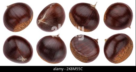 Le castagne isolati su sfondo bianco Foto Stock