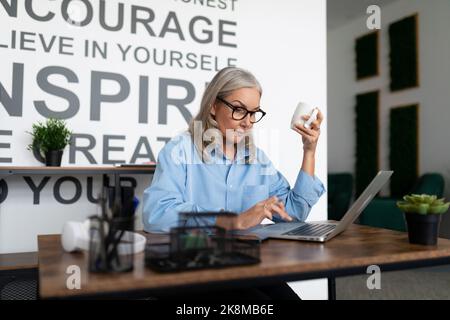 ritratto di una auditor femminile di successo al lavoro in ufficio di fronte a un computer portatile. Contabile contabile Clerk mature Woman concetto Foto Stock