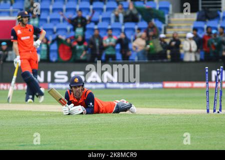 Hobart, Australia. 24th Ott 2022. Il giocatore olandese di cricket Tom Cooper ha visto durante la partita di cricket della Coppa del mondo T20 tra Paesi Bassi e Bangladesh alla Blundstone Arena. Bangladesh vinto da 9 run credito: SOPA Images Limited/Alamy Live News Foto Stock