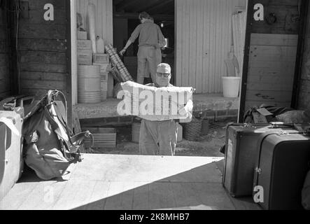 Anguilla in Hallingdal 196508 l'uomo viene con il percorso di mungitura il percorso di mungitura è gestito da Seilers Olsen. Seilers hanno l'esperienza dell'anno nel servizio della fornitura di latte e hanno la piena fiducia del bude. Oltre al latte, vengono trasportate merci, lettere e persone. Foto: Aage Storløkken / corrente / NTB Foto Stock