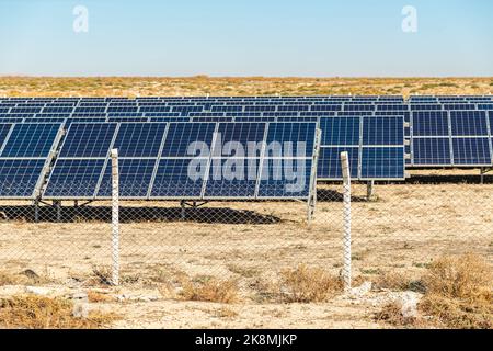 Campo solare con pannelli solari recintati al tramonto Foto Stock