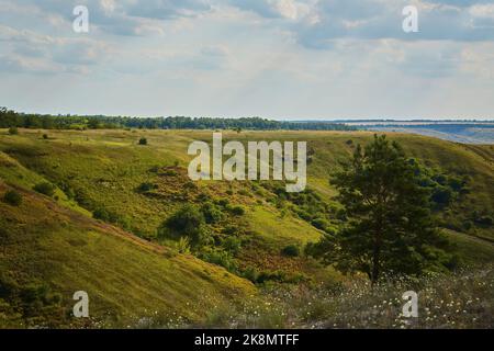 Gesso montagne in una giornata di sole, area protetta vicino Svyatogorsk, Ucraina. Foto Stock