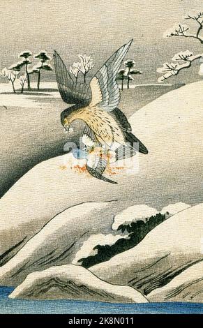 'Fables choisies de Florian, série 1' (favole selezionate da Florian), scritto dal fabulista francese Jean-Pierre Claris de Florian. Illustrazioni di Kano Tamonobu, Kajita Hanko e Kubota Tosui. Poema 'il aquilone e il piccione', pagina 17 Libro pubblicato nel 1895 Foto Stock