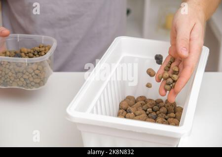 Un uomo si addormenta in una scatola di fiori di argilla espansa. Sporchi preparazione, il primo strato espanse creta. Preparazione per piantare piante. Giardinaggio a casa. Foto Stock