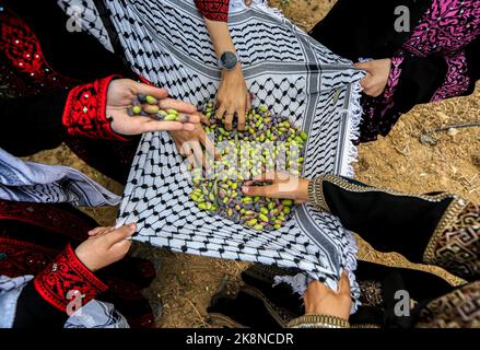 Gaza, Palestina. 23rd Ott 2022. Le ragazze palestinesi che indossano abiti tradizionali palestinesi partecipano alla stagione della raccolta delle olive in una fattoria a Deir al-Balah nella striscia centrale di Gaza Credit: SOPA Images Limited/Alamy Live News Foto Stock