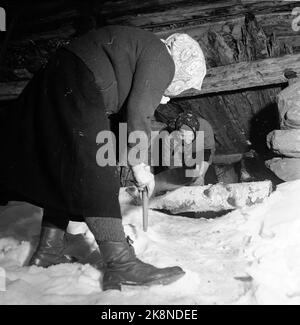 Dalen in Telemark, febbraio 1955. Ingerine e Gorine Schvenius (83 e 81 anni) vivono da soli nella piazza Roi o Rui nella valle del Telemark. Il tempo si è fermato in questa piccola piazza in alto nel mondo delle montagne. Qui le sorelle tagliarono il capannone di legno. Foto: Aage Storløkken / corrente / NTB Foto Stock