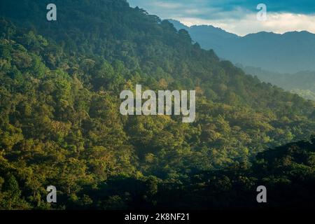 Vista dall'alto dell'impenetrabile parco nazionale di Bwindi in Uganda, che ospita l'ultima popolazione rimasta di gorilla di montagna Foto Stock