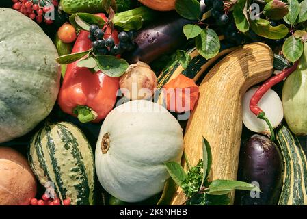 Verdure autunnali mature e bacche sono disposti sul tavolo. Vista dall'alto. Foto Stock