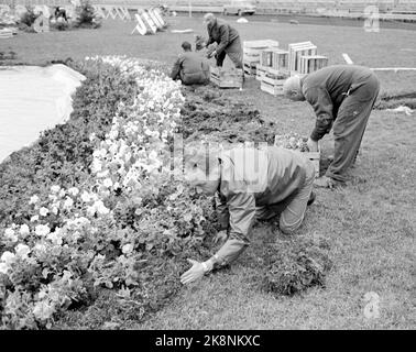 Oslo 19650626 «notte del Signore a Ullevål» durante alcune ore notturne dopo la vittoria sulla Jugoslavia, lo stadio Ullevaal, testimone del Signore, si trasformò nell'arena per un grande convegno religioso. Foto: Aage Storløkken / corrente / NTB Foto Stock