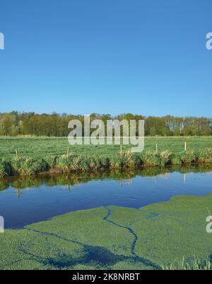 Fiume Niers vicino a Wachtendonk, basso Reno regionb, Germania Foto Stock