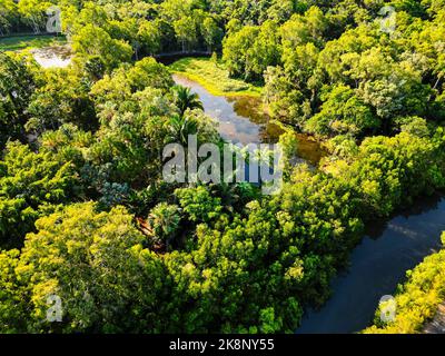 Vista aerea dello stagno tropicale circondato dalla natura Foto Stock