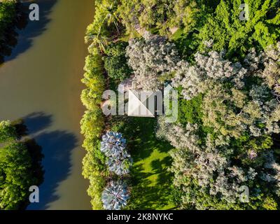 Ripresa aerea verso il basso della capanna tropicale accanto al fiume nel giardino botanico di Cairns Foto Stock